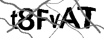 Loading CAPTCHA Image...